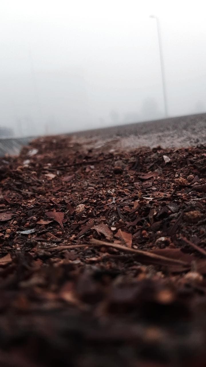 IMG_20211209_081425_842