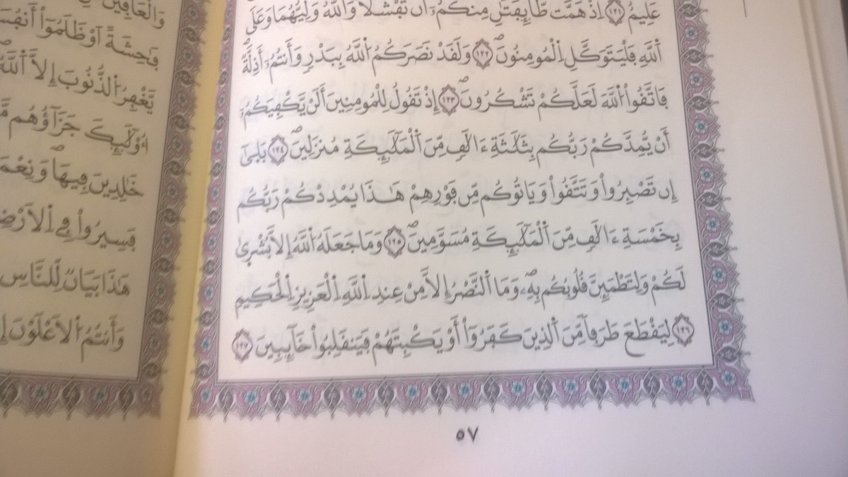 WP_20160807_14_10_23_Pro