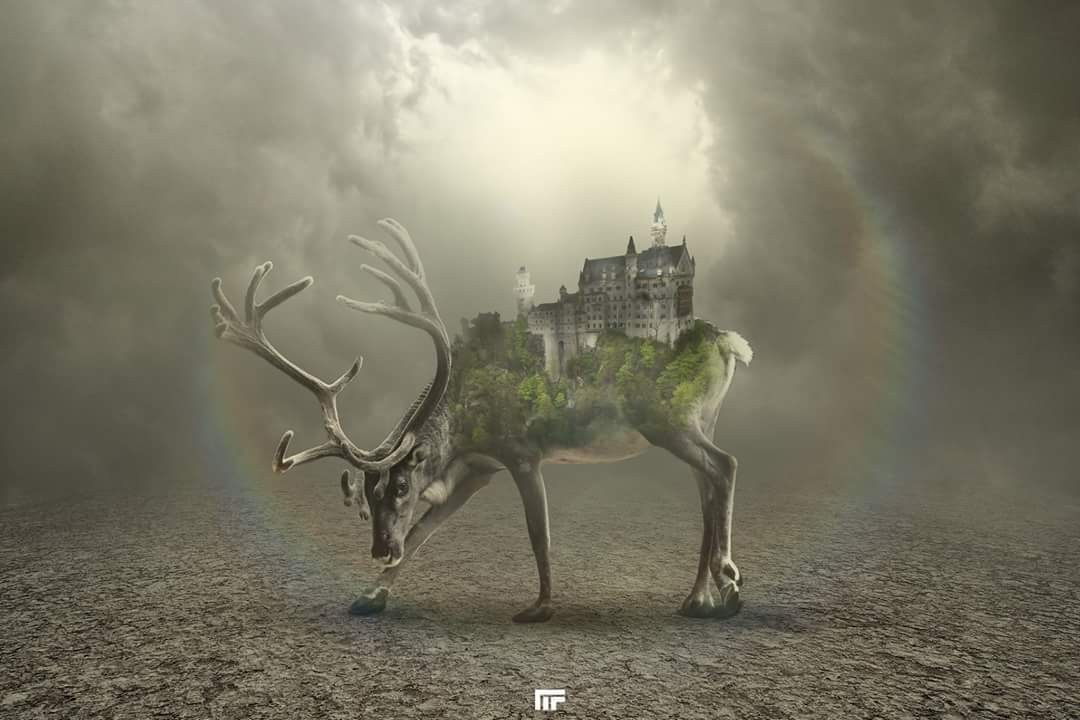 FB_IMG_1500775505528