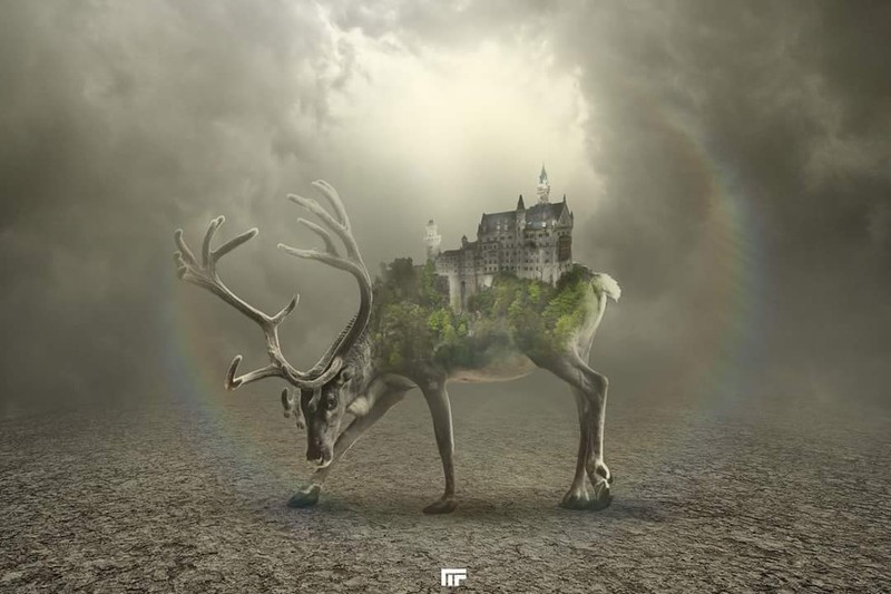 FB_IMG_1500775505528