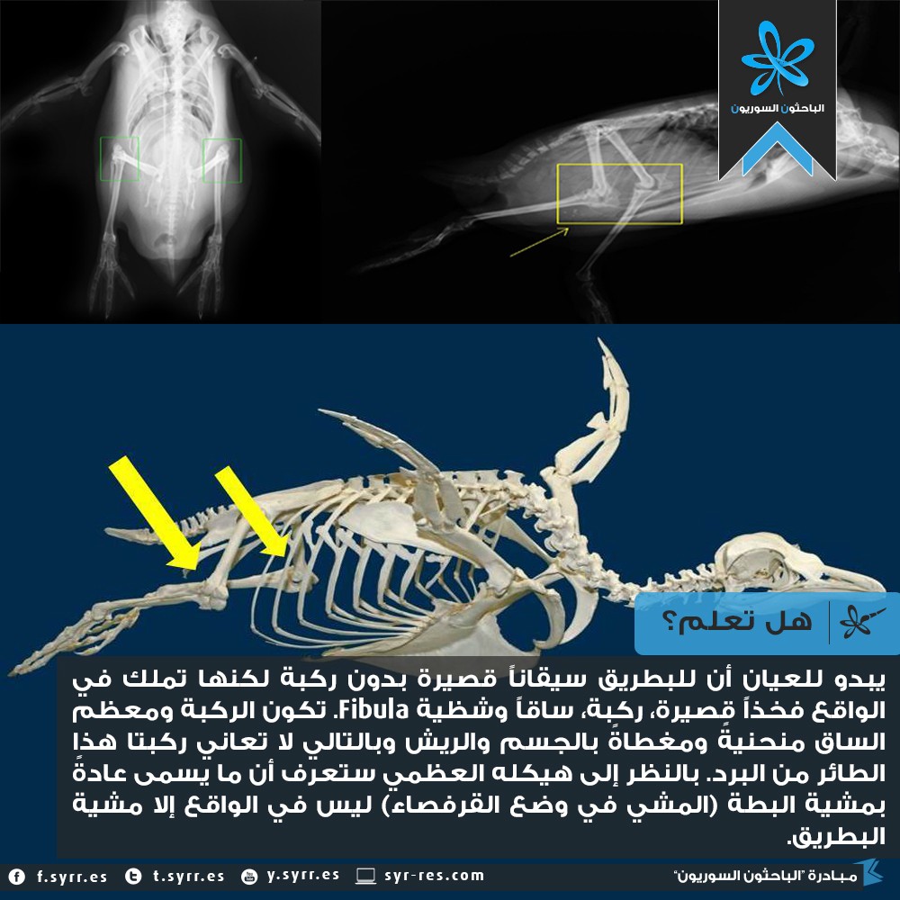 20170714-11954-1p8lzth