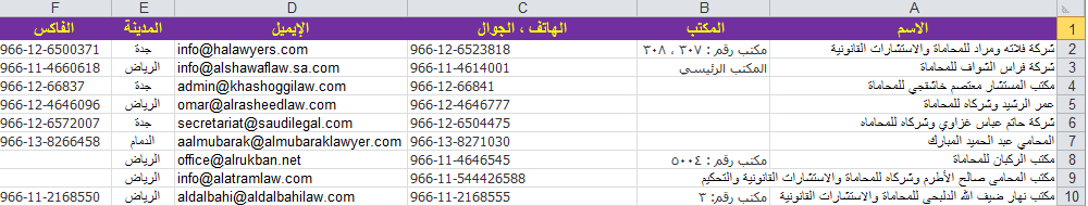 إدخال بيانات قائمة محامين (Excel)