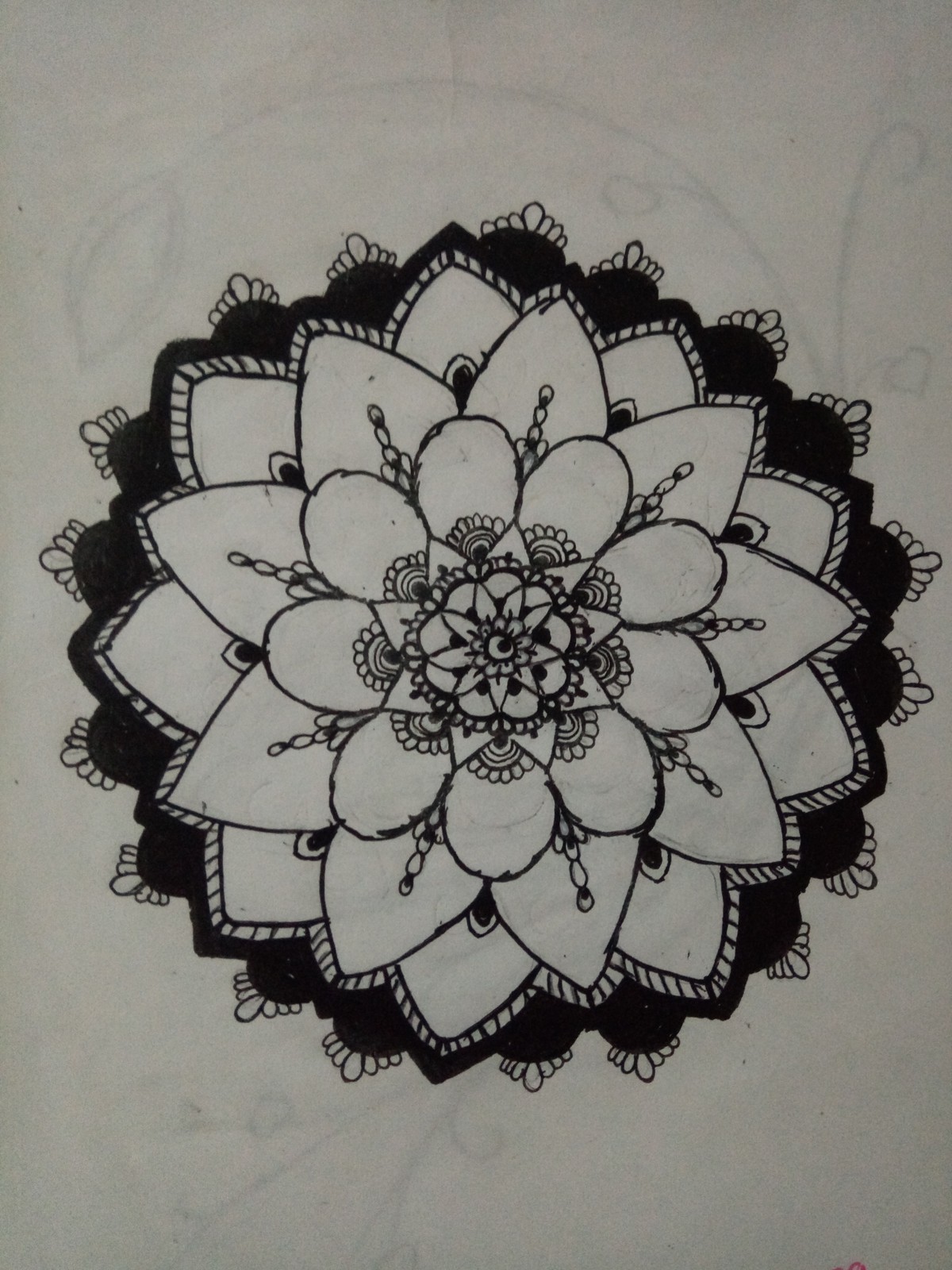 IMG_٢٠١٧٠١٢٢_١٥٤٨٠٥