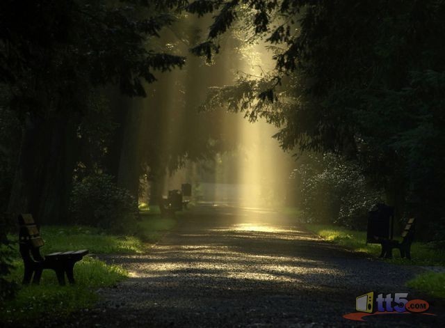 world-pictures-nature-new-11