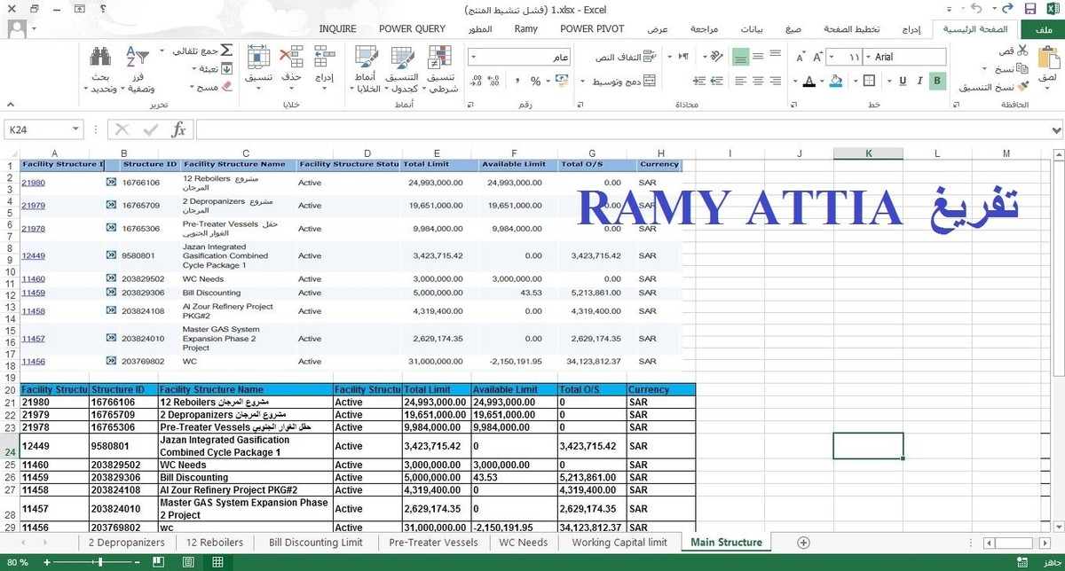 تفريغ_من_بي_دي_إف_إلى_إكسل2