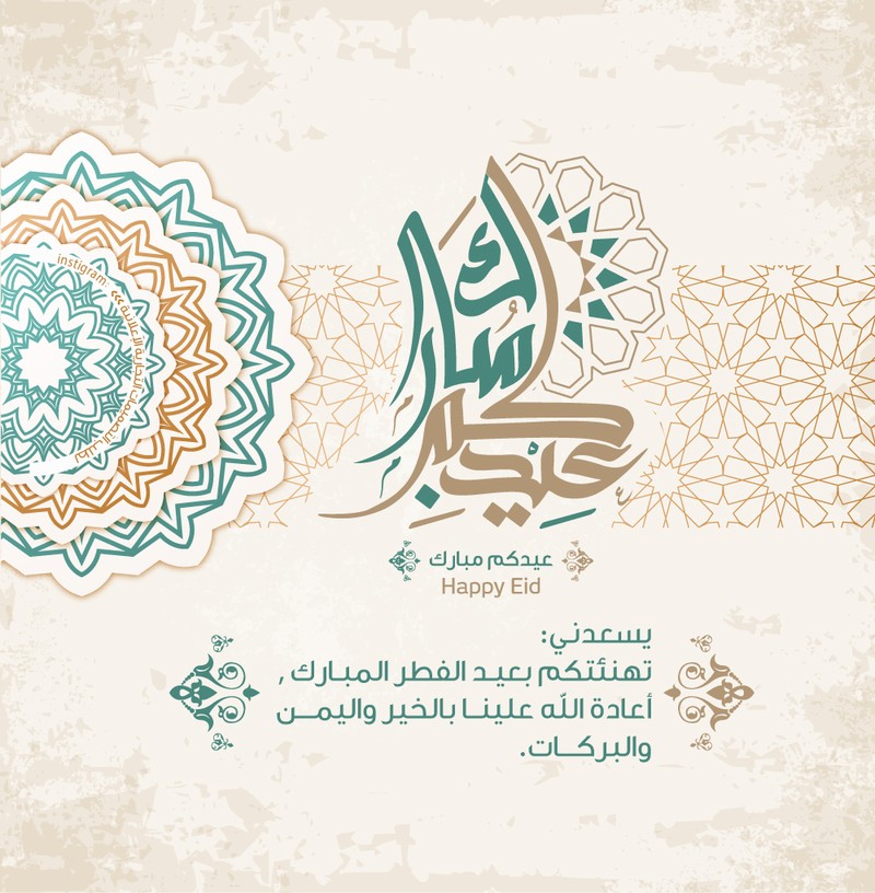عايدة-4