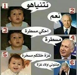 10600349_356031087880471_4208475611490384774_n