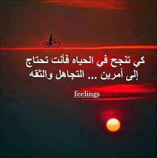 téléchargement__32_