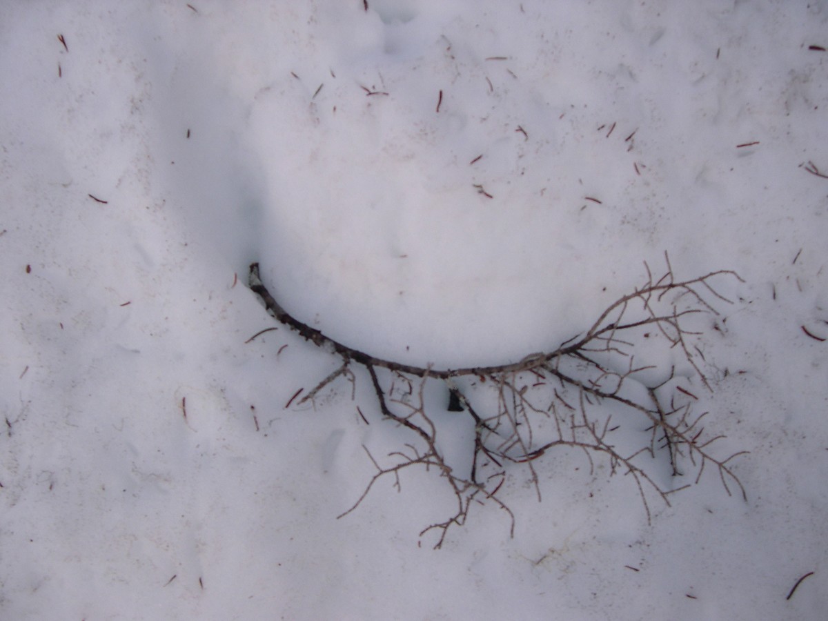 canstockphoto0502907