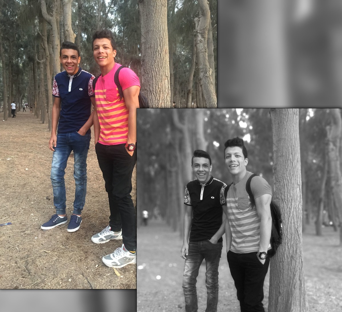 Untitled-2_copy