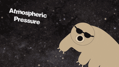 20170403-16746-1lwhgar