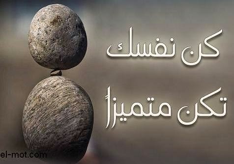 536769_433366753452825_579644395_n