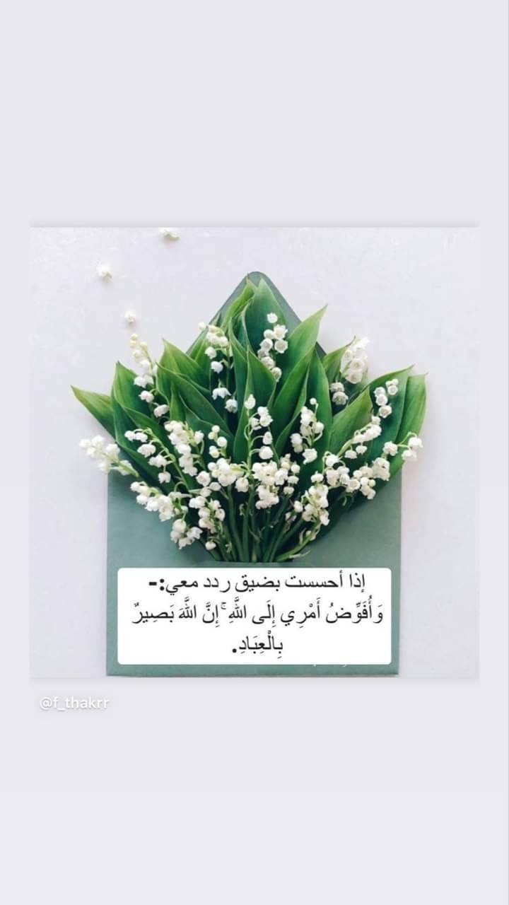 Screenshot_٢٠٢٠٠٩١١-١٨٠٢٣٨_Gallery