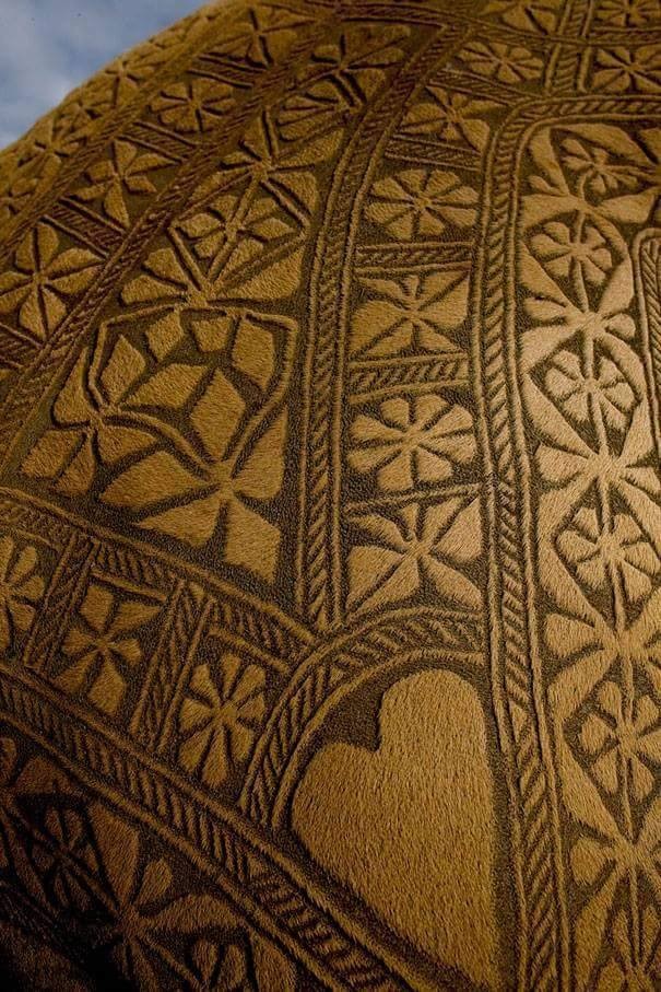 13124796_1140105649344259_1557053257802703338_n