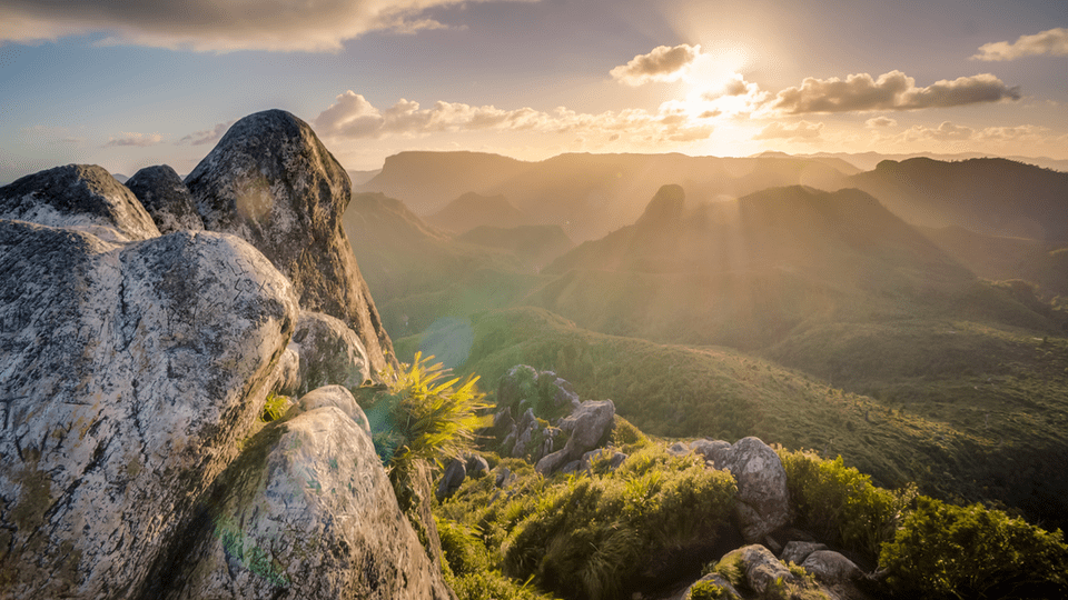 green-nature-photo-3