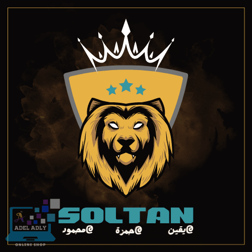 لوجو__سلطان