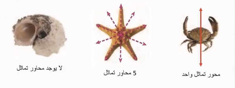 FB3A1BAB-B078-4812-A832-243BA92BB210