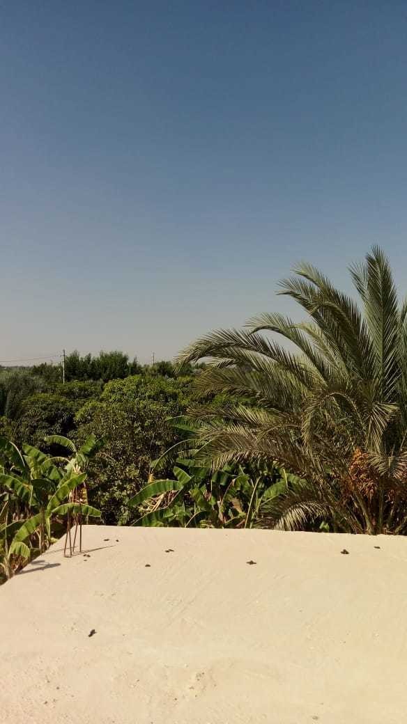 48ec7067-d493-4149-8598-a70bd7d94ca3