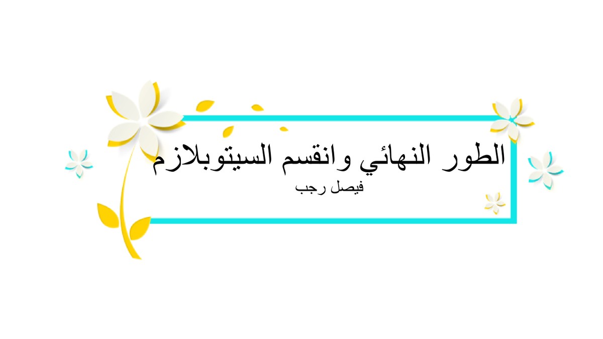 2c35ee775c1be0f5abbaa40beb9a6ef6-11
