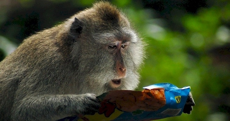 e818a773-4268-4960-b555-b91280ff27b0_desktop