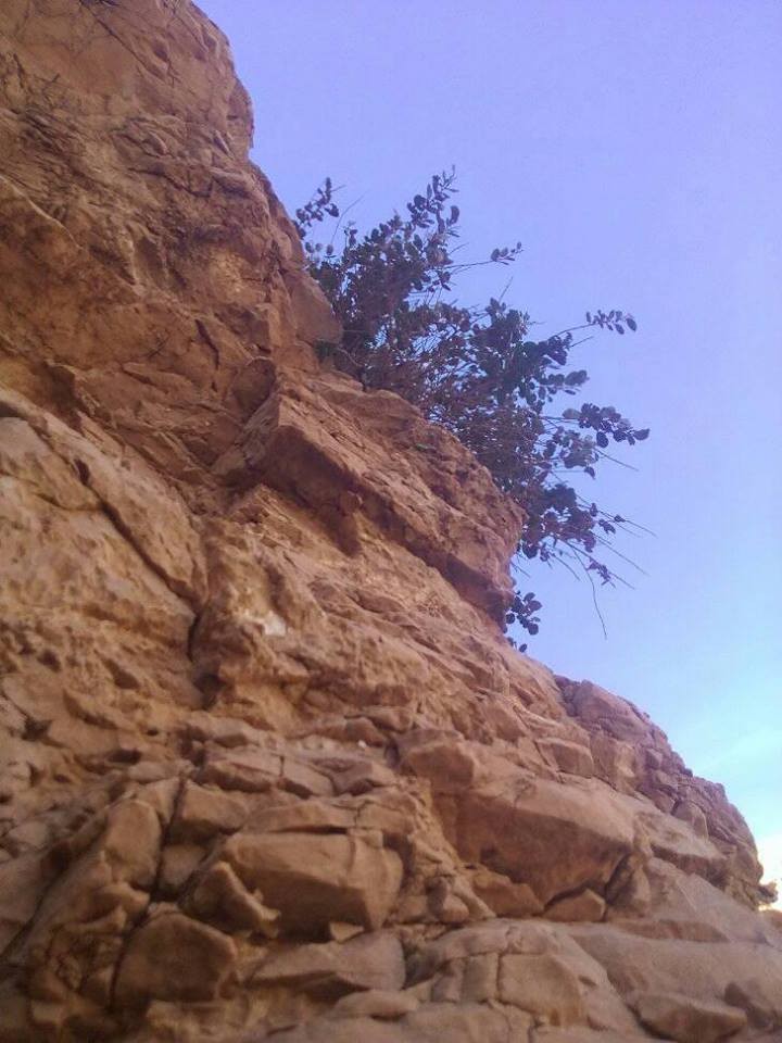 16388111_10210620912110570_670422057674296850_n