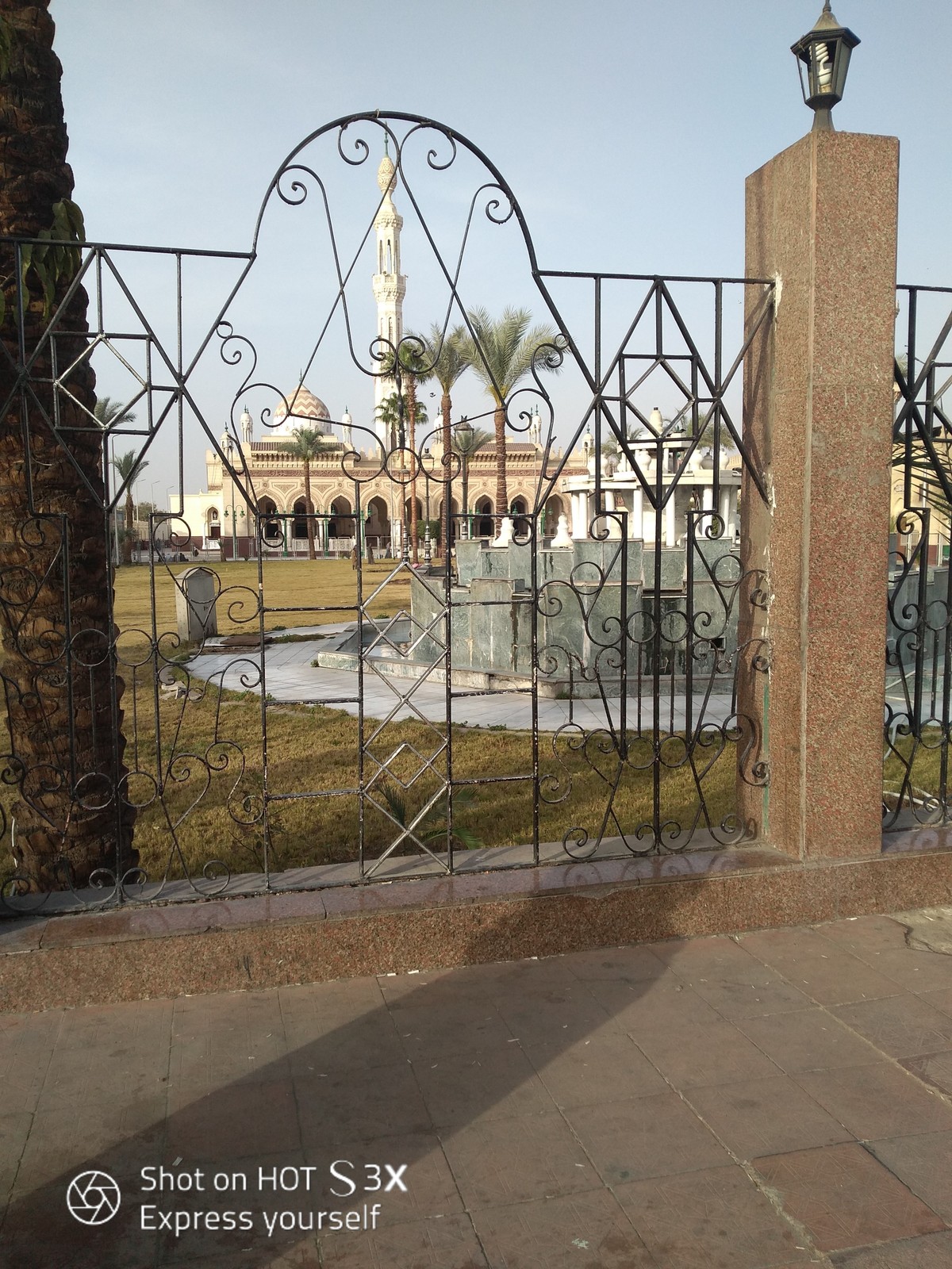 IMG_٢٠١٩٠٣٢١_١٦٣٧٢٦