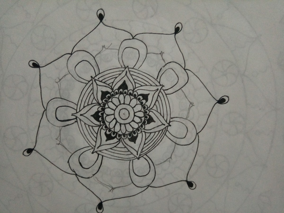 IMG_٢٠١٧٠١٢٢_١٥٤٩١٣