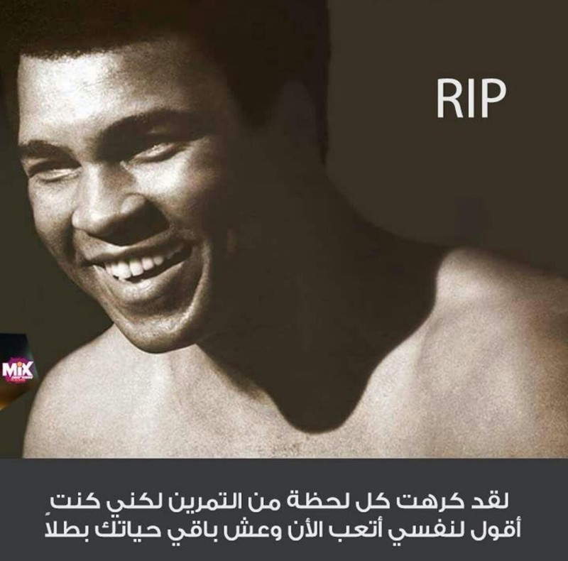 f54e7663-b360-421f-8c26-4de8ea983303