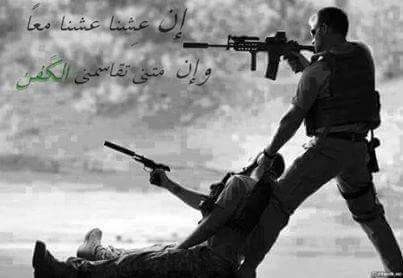 11329879_669183479882592_3598362569322994185_n