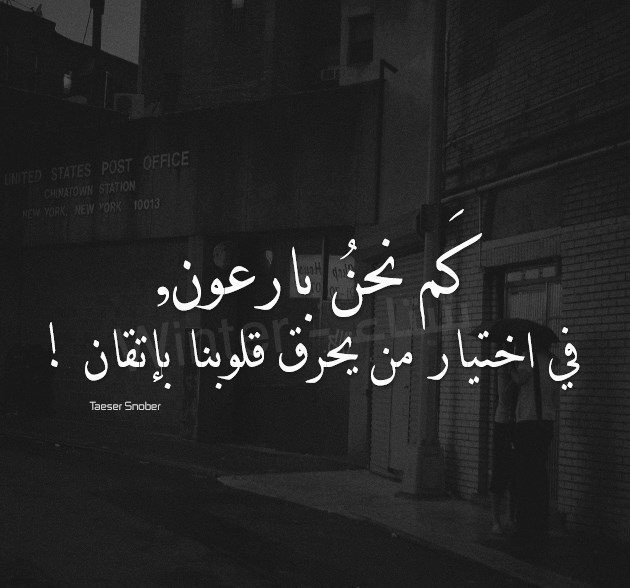 12341607_816612668447493_6473009205486116173_n
