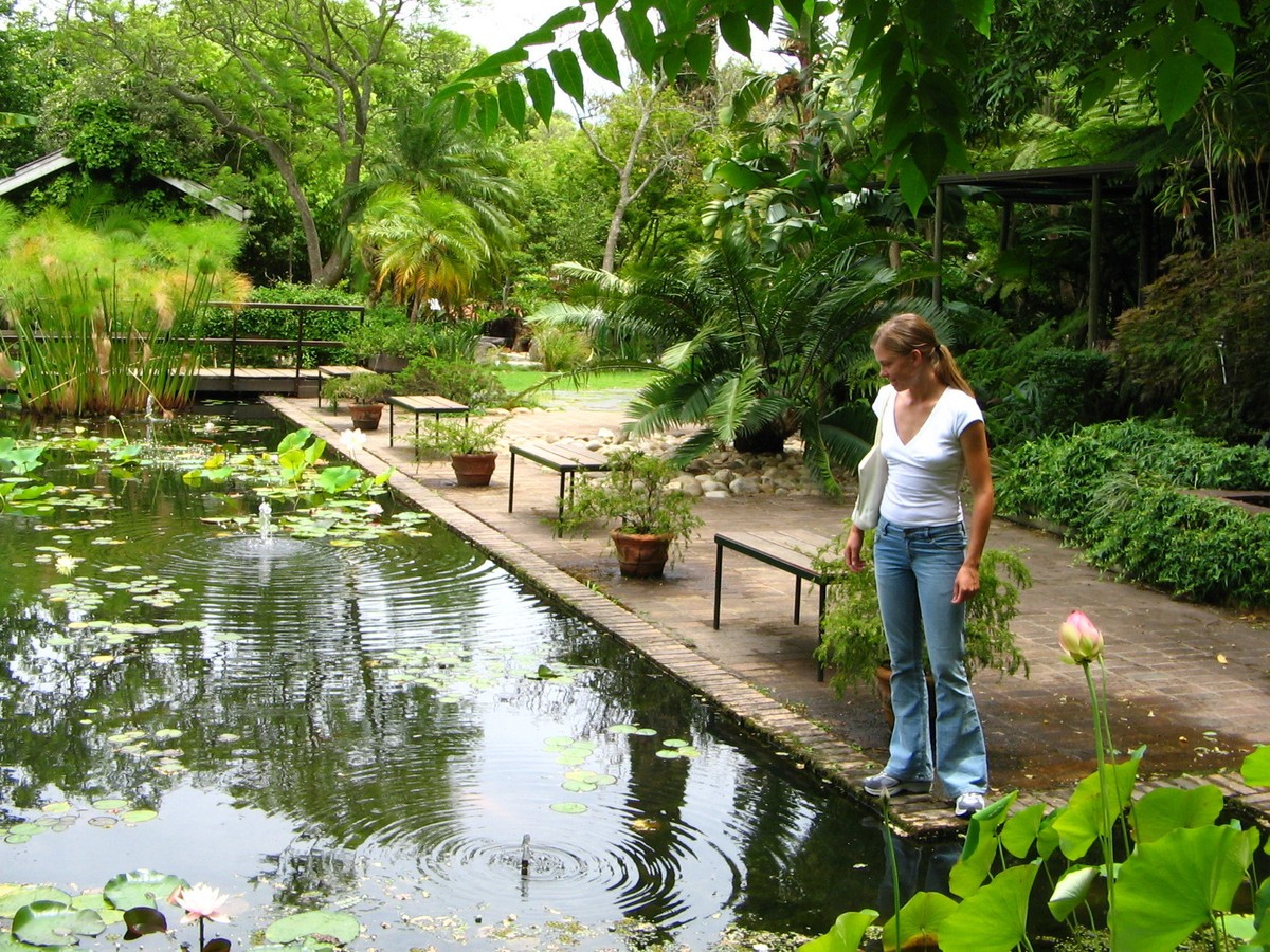 Stellenbosch_University_Botanical_Garden_-_lily_pools