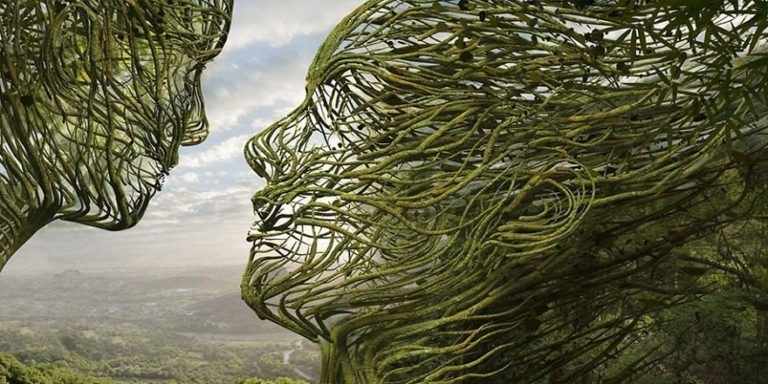 حينما نلتئم مع الطبيعة