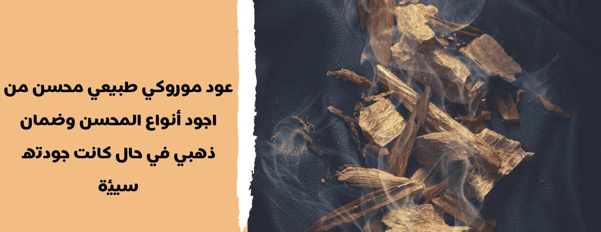 البنر_الثاني__1_