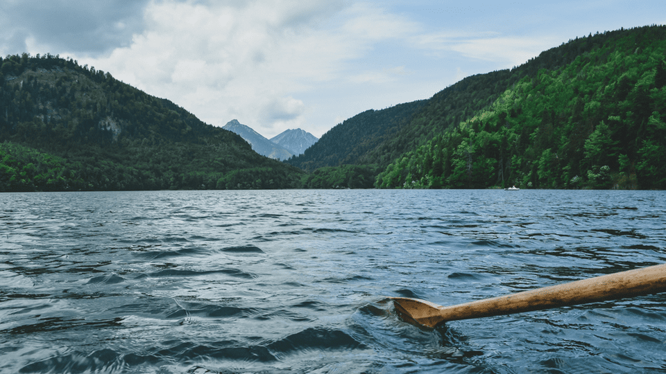 green-nature-photo-9