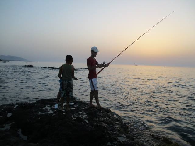 14017648_152589811846612_69966548_n__1_