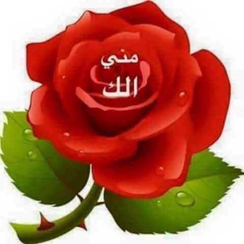 الله الوطن الملك