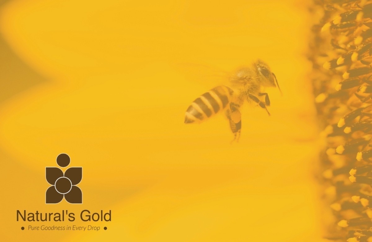 Screenshot_20250226_213823_com_hihonor_photos_SlotAlbumActivity_edit_1000146783214616