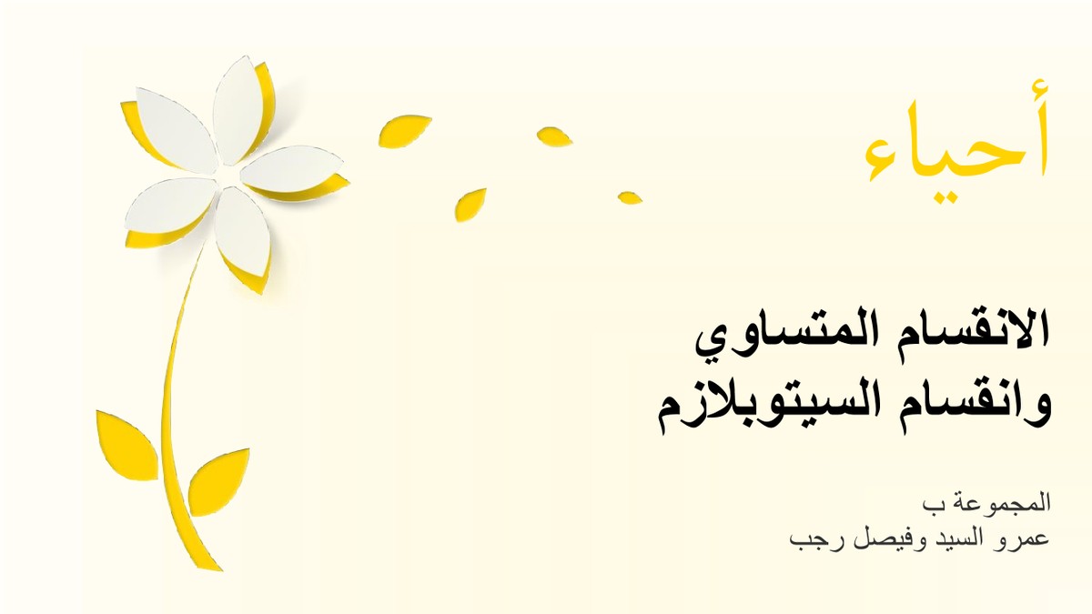 2c35ee775c1be0f5abbaa40beb9a6ef6-0