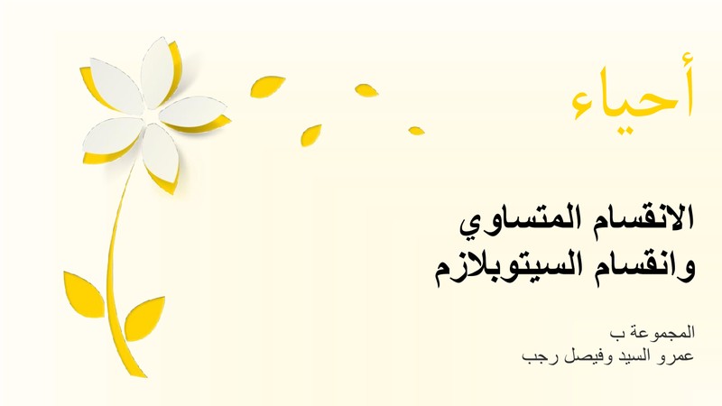 2c35ee775c1be0f5abbaa40beb9a6ef6-0