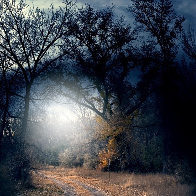 In_a_trance_by_VexingArt-630x630