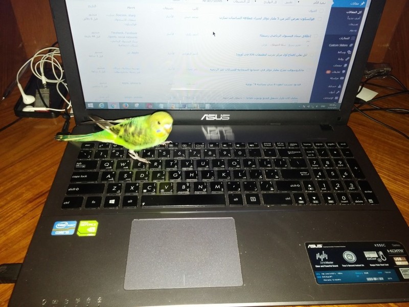 20160121_160050__Medium_