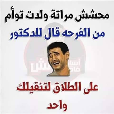 12642902_430859127108306_8288520094882327310_n