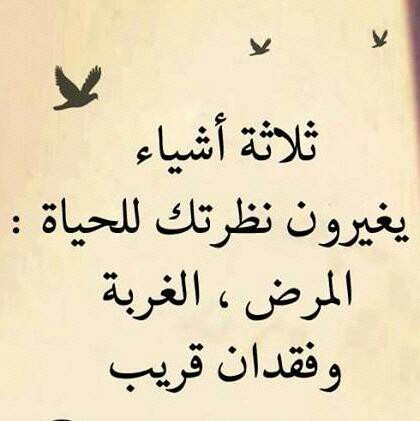 0cbf1133cc5aadafbe2fd24985ab6db8