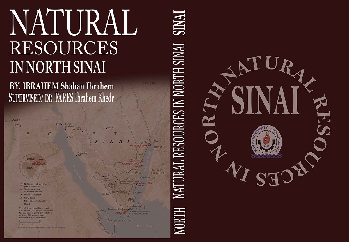 أحد أخر أعمالي لتصميم غلاف كتاب لرسالة ماجيستير صور