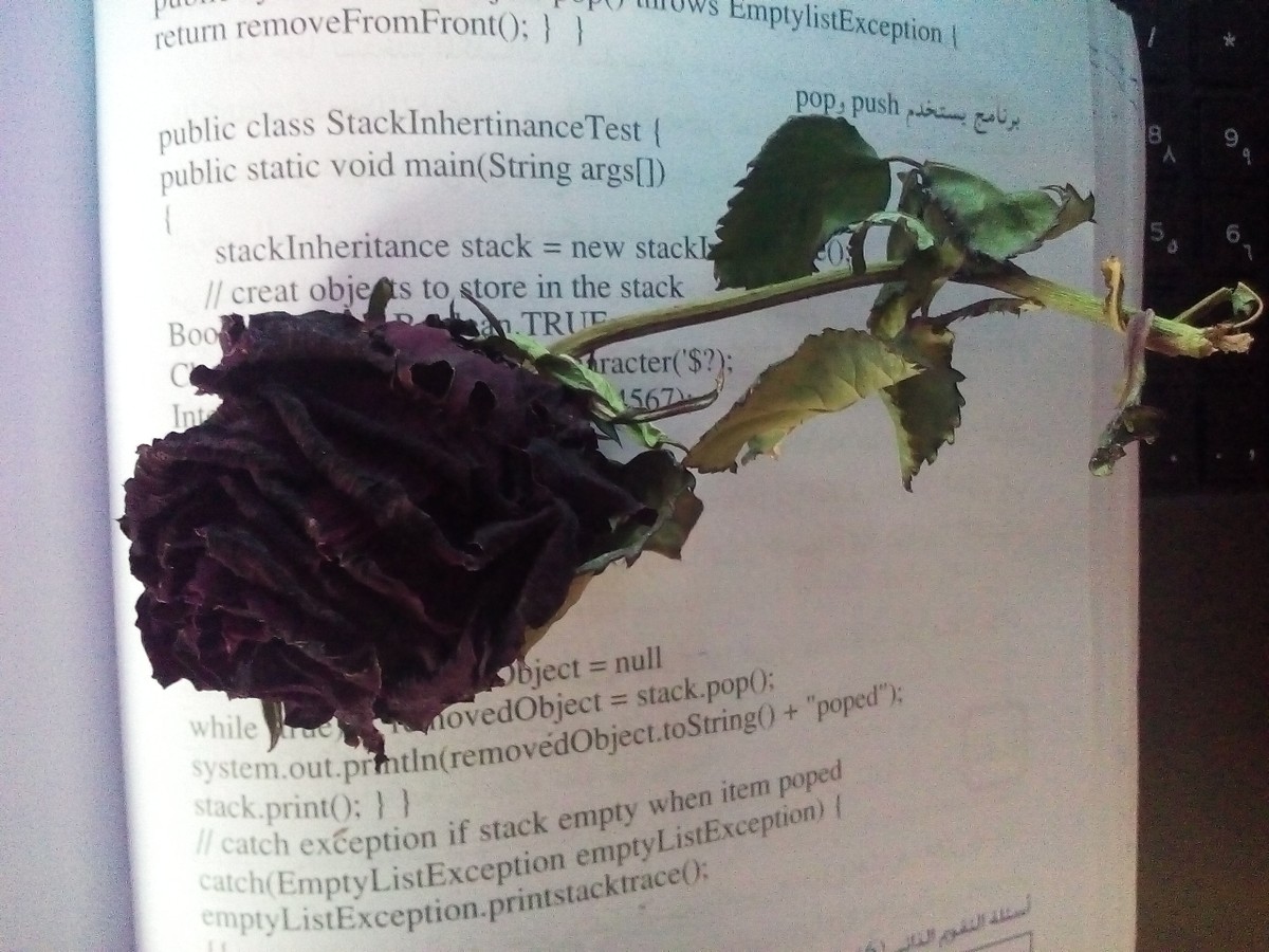 جافا مع الورد