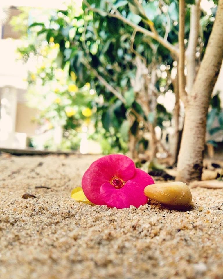 20161119-31402-10a8g4v