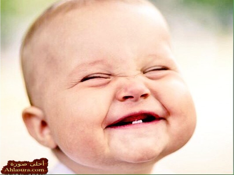 _D8_A7_D8_AC_D9_85_D9_84-_D8_B5_D9_88_D8_B1-_D8_A7_D8_B7_D9_81_D8_A7_D9_84-12-800x600