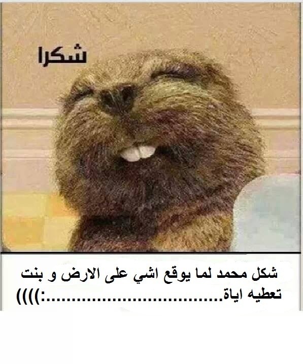 1239048_621971704514010_1680803351_n