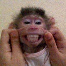 1656365_720578784642312_524473104_n