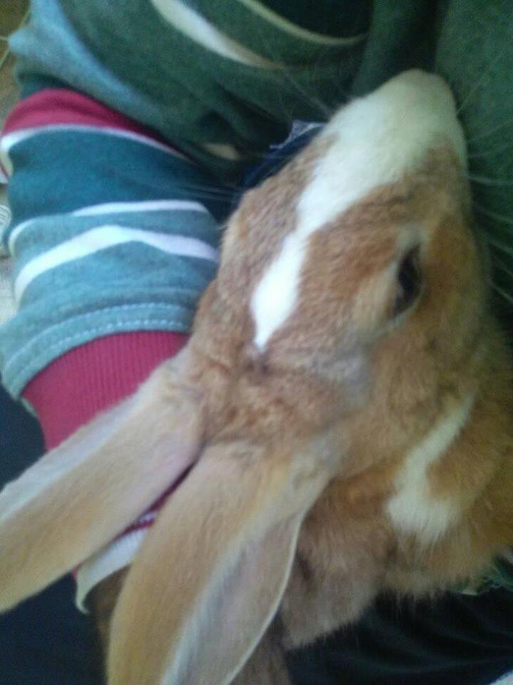 17098444_10210846074259483_6319299146372661938_n